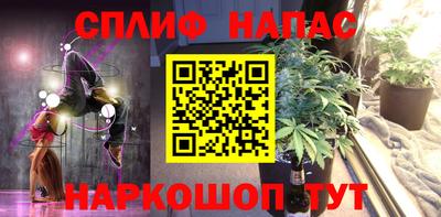сатива Ирбит
