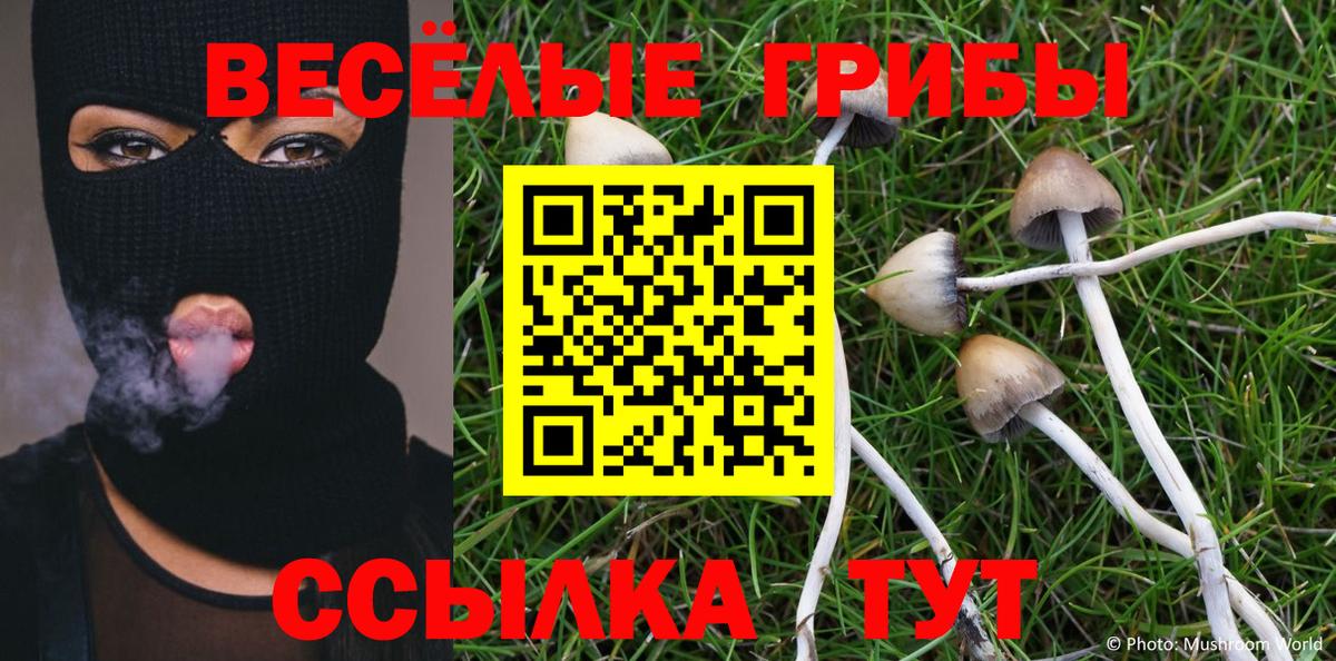 Миасс  Галлюциногенные грибы Psilocybe  купить наркотик  Вход с VPN 